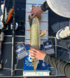 photo prise 52183 par Bigpikelures 