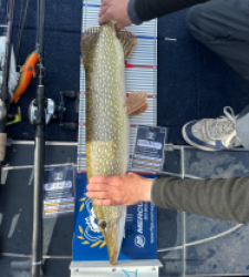 photo prise 52184 par Bigpikelures 