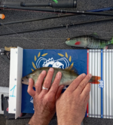 photo prise 52185 par David 174