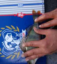 photo prise 52186 par Steve13