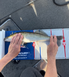 photo prise 52187 par Dereu