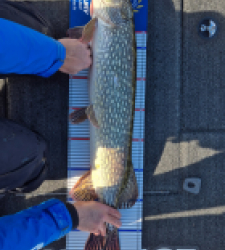 photo prise 52188 par Thomas