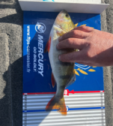 photo prise 52189 par Oliveolive