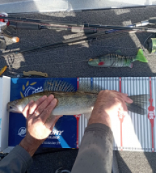 photo prise 52190 par David 174