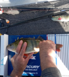 photo prise 52191 par David 174