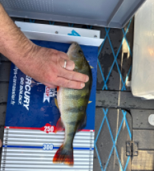 photo prise 52192 par Arnaud