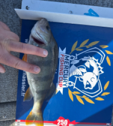 photo prise 52193 par LEMOIGNE Romain