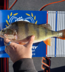 photo prise 52194 par julien