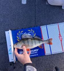 photo prise 52195 par Barth 