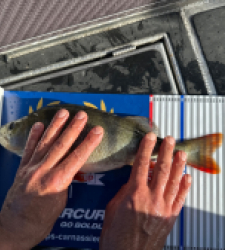 photo prise 52196 par Max