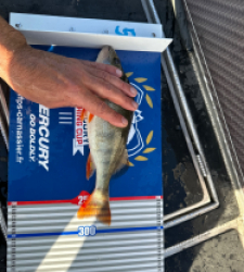 photo prise 52197 par Max