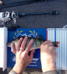 photo prise 52198 par David 174