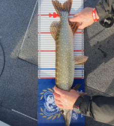 photo prise 52199 par Thierry cheramy