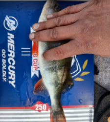 photo prise 52200 par Steve13