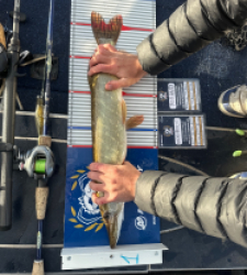 photo prise 52201 par Bigpikelures 