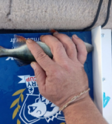 photo prise 52202 par Dim