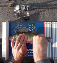 photo prise 52203 par David 174