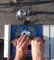 photo prise 52204 par David 174