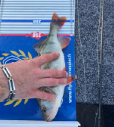 photo prise 52205 par Pio73