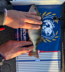 photo prise 52208 par Christophe