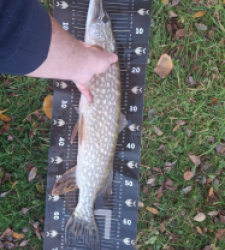 photo prise 52209 par Lamarte12