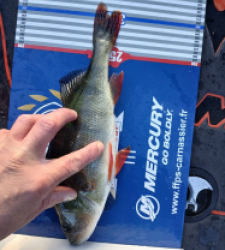 photo prise 52210 par julien