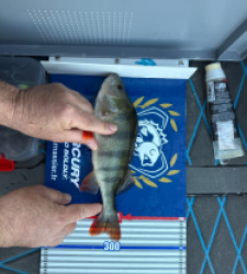 photo prise 52211 par Arnaud