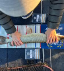 photo prise 52212 par Bigpikelures 