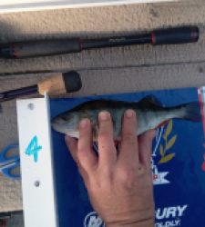 photo prise 52213 par Dim