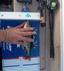 photo prise 52214 par Dim