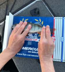 photo prise 52215 par Dereu