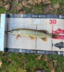 photo prise 52216 par 