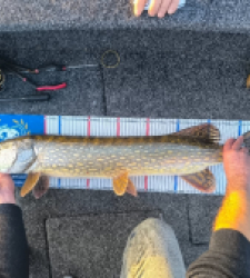 photo prise 52218 par Anthonybondurri