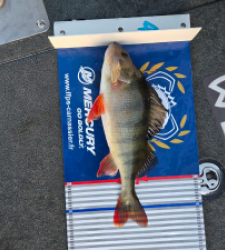 photo prise 52217 par zelbi