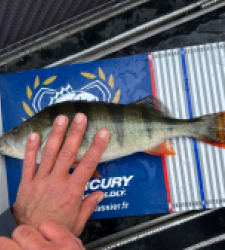 photo prise 52220 par Max