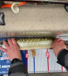 photo prise 52221 par Bastien martiniere 