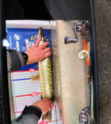 photo prise 52223 par Micha16