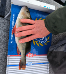 photo prise 52224 par Yo'Marguet