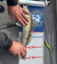 photo prise 52225 par Romain 