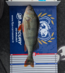 photo prise 52226 par Kevin