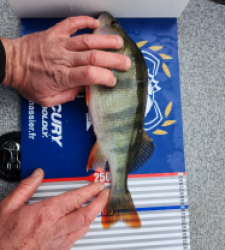 photo prise 52227 par Mélie