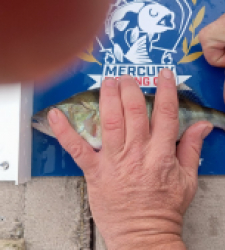 photo prise 52230 par Dim