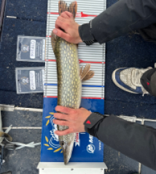 photo prise 52231 par Bigpikelures 