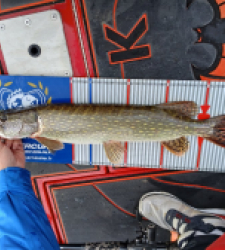 photo prise 52232 par julien