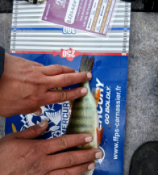 photo prise 52233 par Steve13