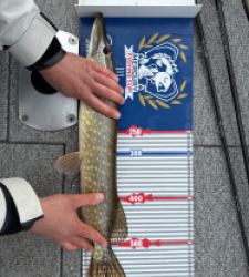 photo prise 52234 par LEMOIGNE Romain