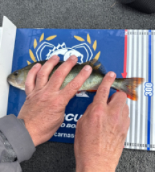 photo prise 52235 par Dereu