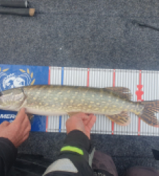 photo prise 52236 par Damien_enggist 