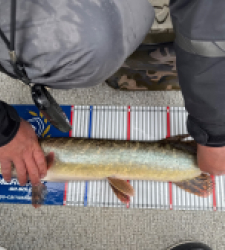 photo prise 52237 par William