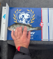 photo prise 52238 par Clem85